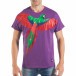 Tricou violet pentru bărbați cu imprimeu papagal tsf250518-9 2