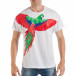 Tricou alb pentru bărbați cu imprimeu papagal tsf250518-6 2